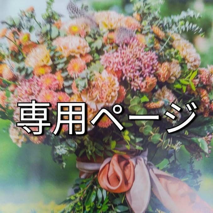 新品未開封品！リサージコラゲリードSP レフィル