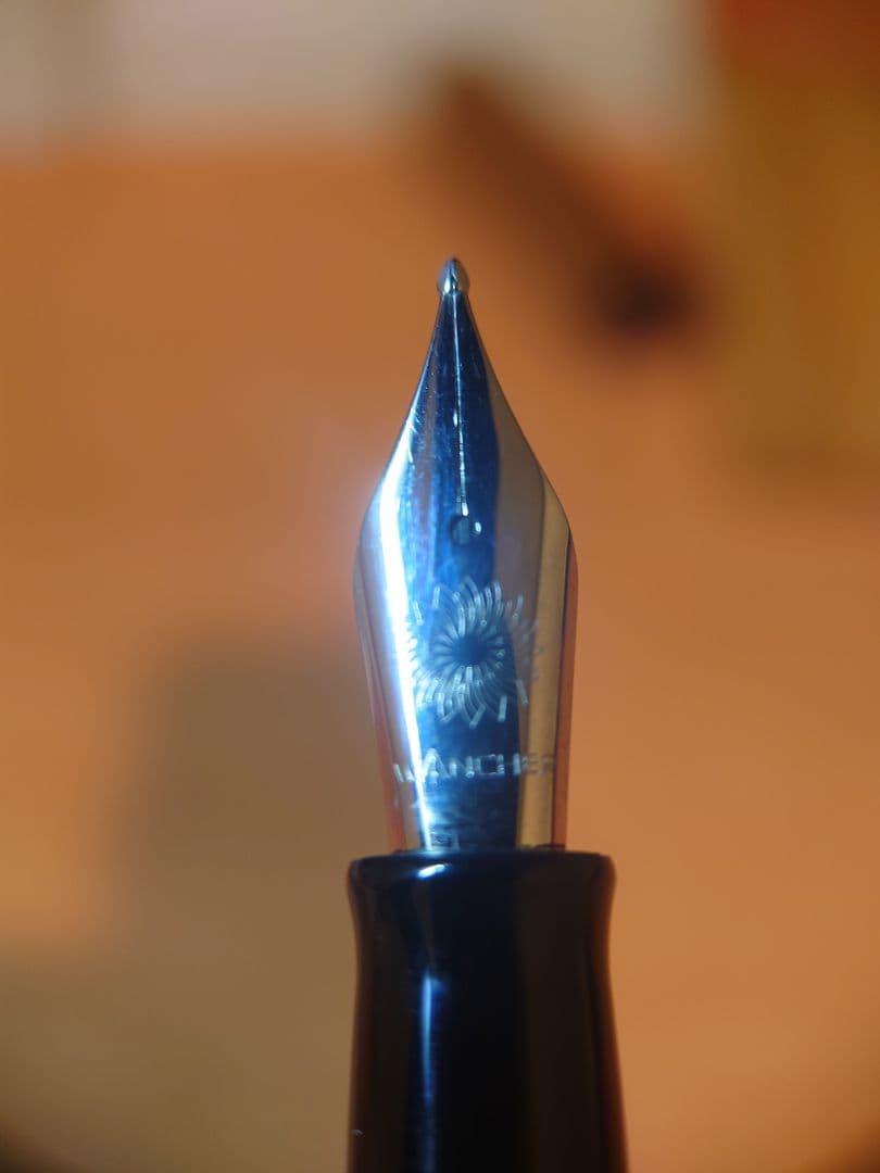 WANCHER 世界樹万年筆　渓流ニブ　おまけ付き　木箱入り　長刀