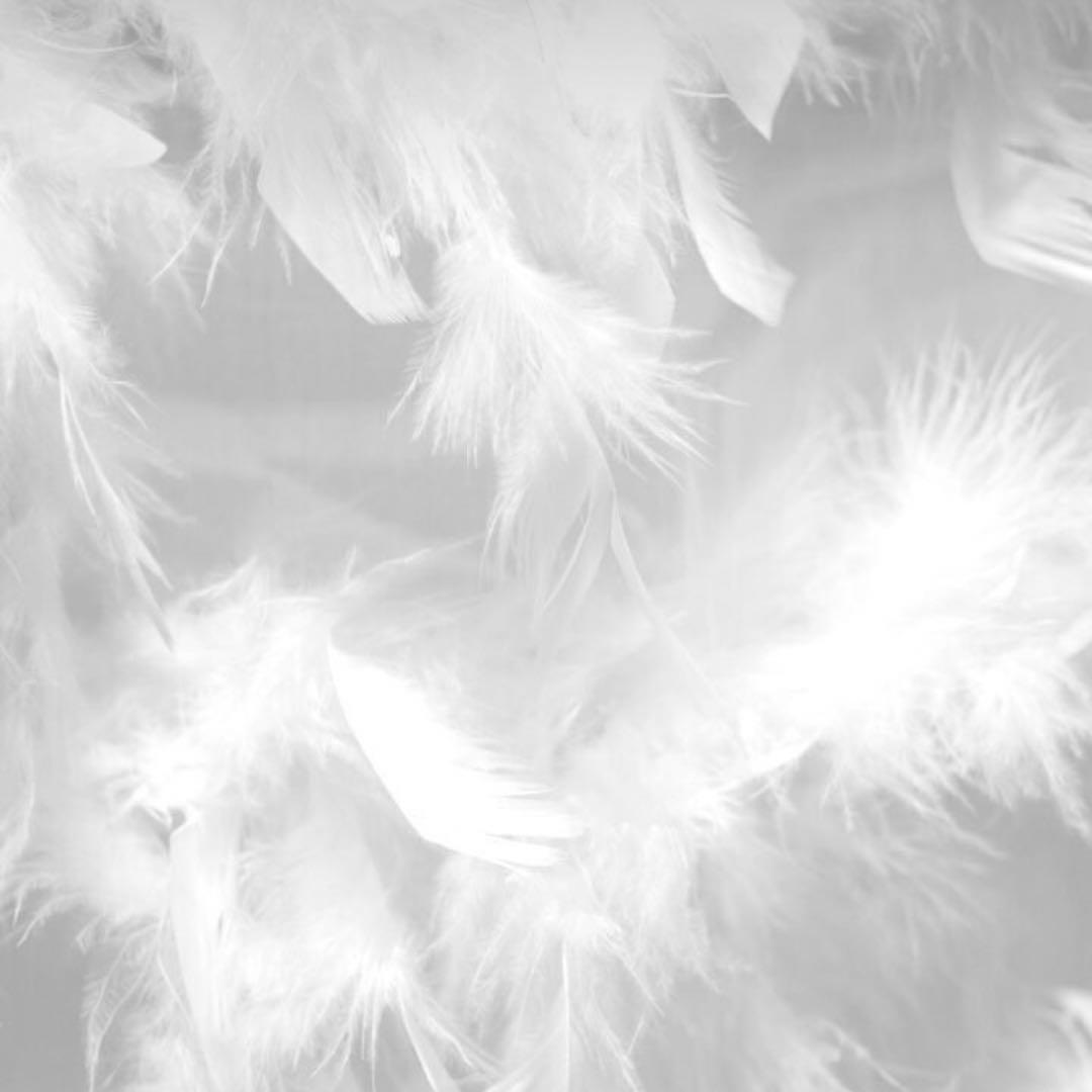 ヤシの実様　お受け取りまでのご確認用ページく