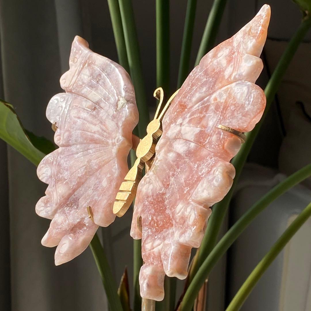 ヤシの実様　お受け取りまでのご確認用ページく