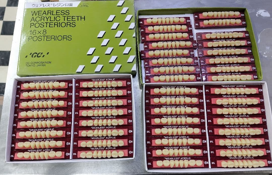 GC ウェアレスレジン臼歯　人工歯 歯科　技工