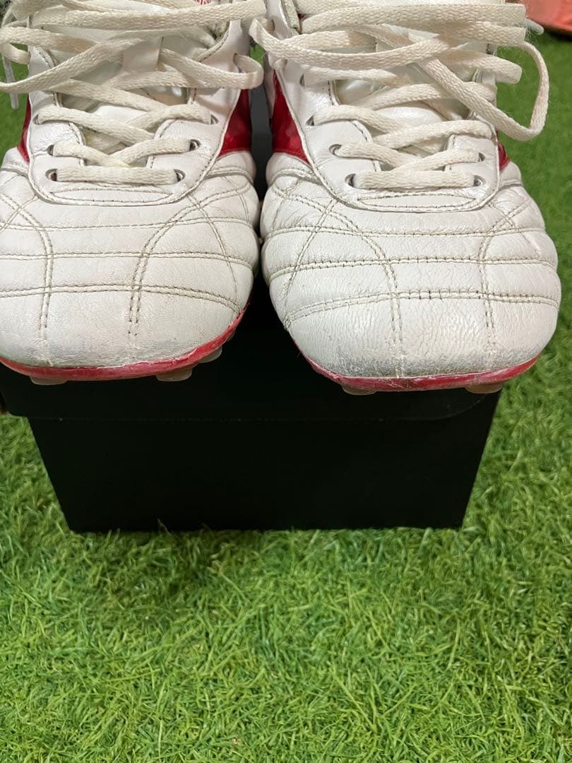 【限定品】モレリア2JAPAN AG 25.0cm