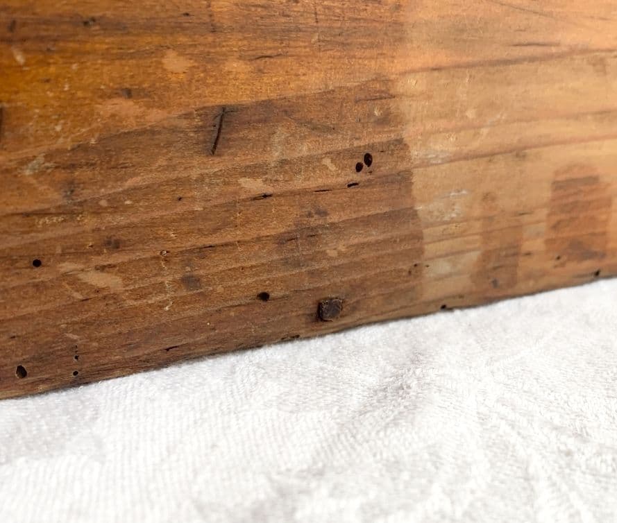 青燕 19世紀後期 時計職人の小引き出し 古道具 ドロワー アンティーク