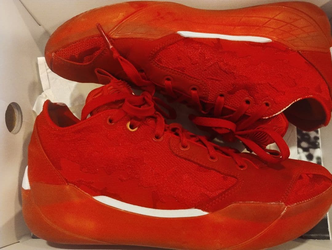 ジョーダン39　JORDAN39　レブロン　コービー　ナイキ