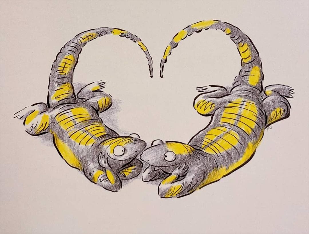 ポージーシモンズ、【そして数ヶ月後】、希少な額装用画集より、新品額装付