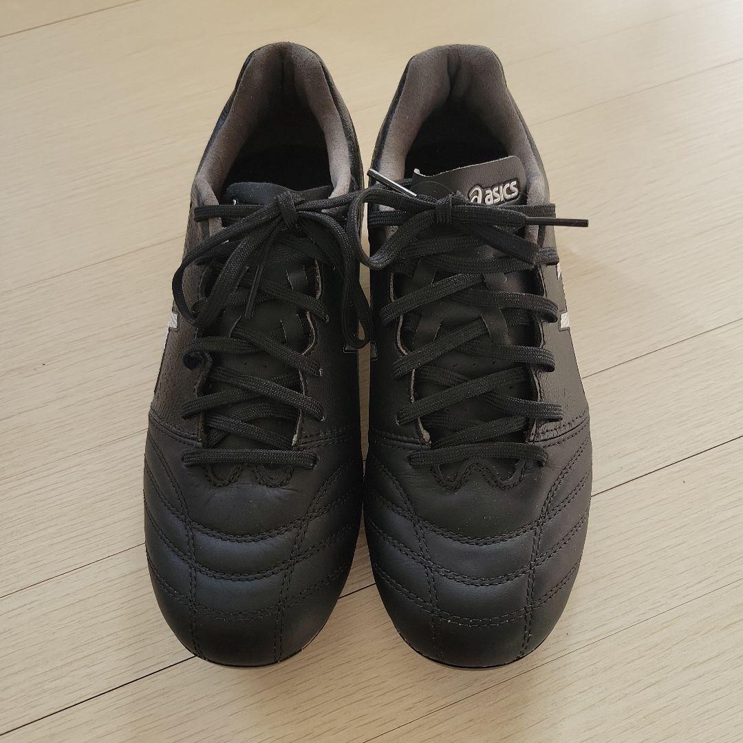 シューズ DS LIGHT PRO 1103A095-001