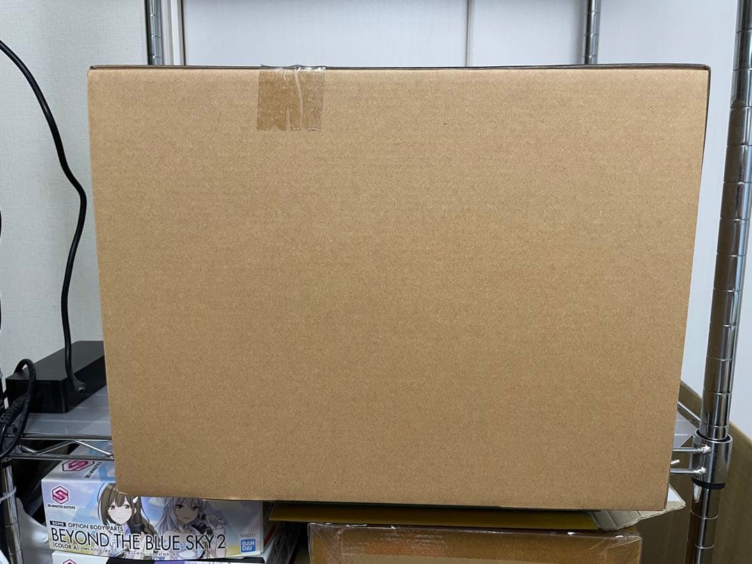 東宝30cmシリーズ　ゴジラ(2023) 限定版