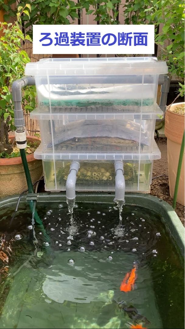 【DIY】三段式外部ろ過装置（個人製作濾過装置）【メダカ・金魚・錦鯉の屋外飼育】