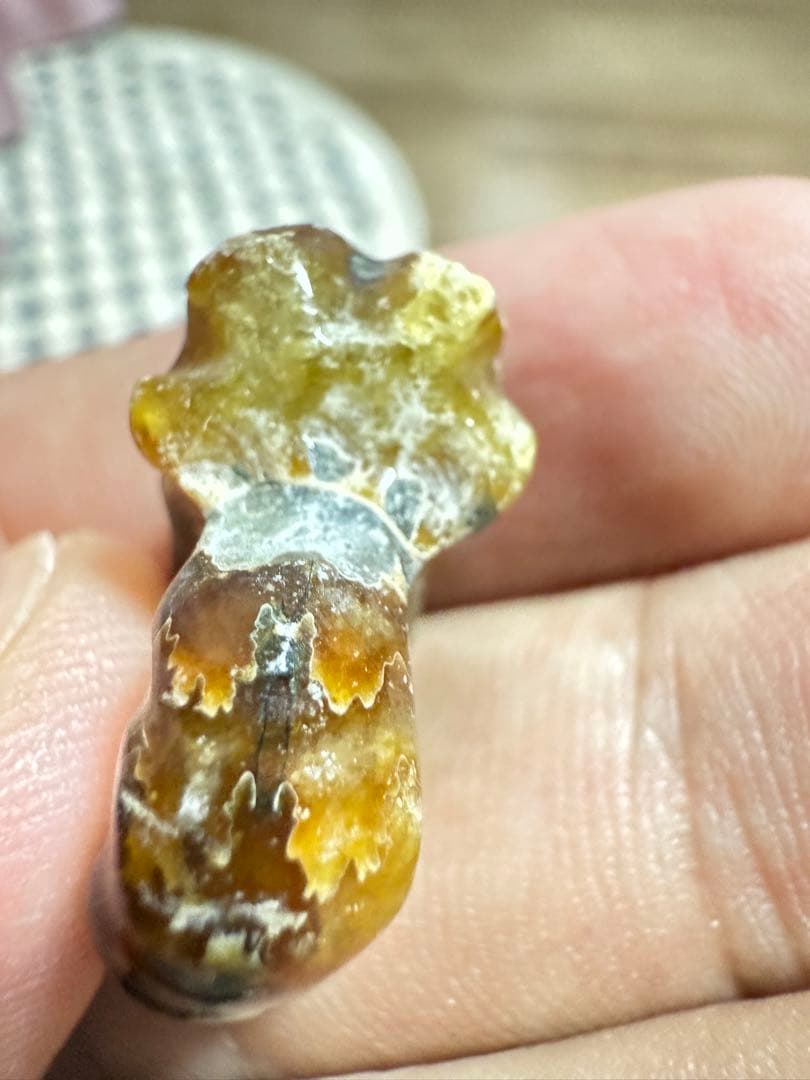 新品　マダガスカルのアンモナイト化石　超大　本物保証　おまけ付き　希少　送料無料