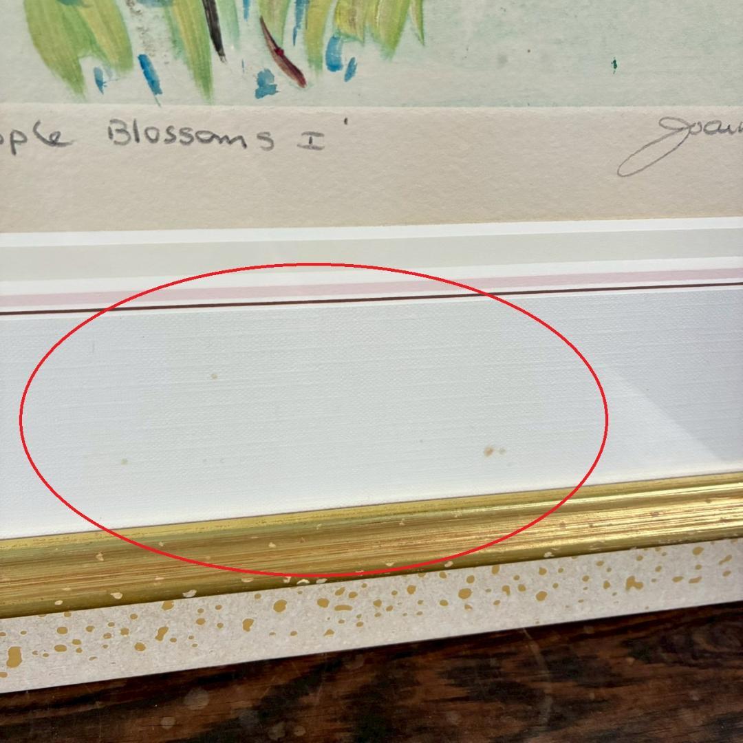 ジョアン・アイザック「Apple～」銅版画 1点物 直筆サイン入 お洒落な額装