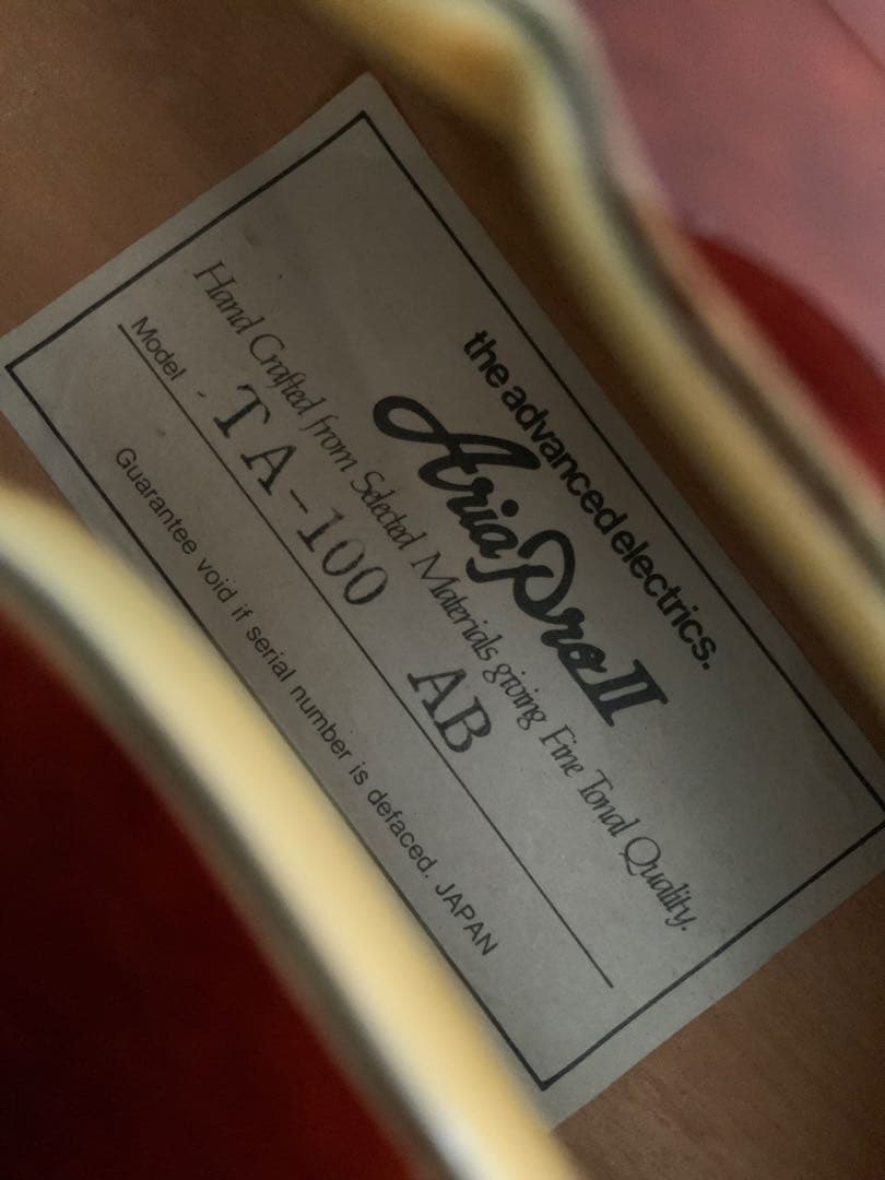 ARIAPROII TA-100（80年代初期モデル）PLEK済