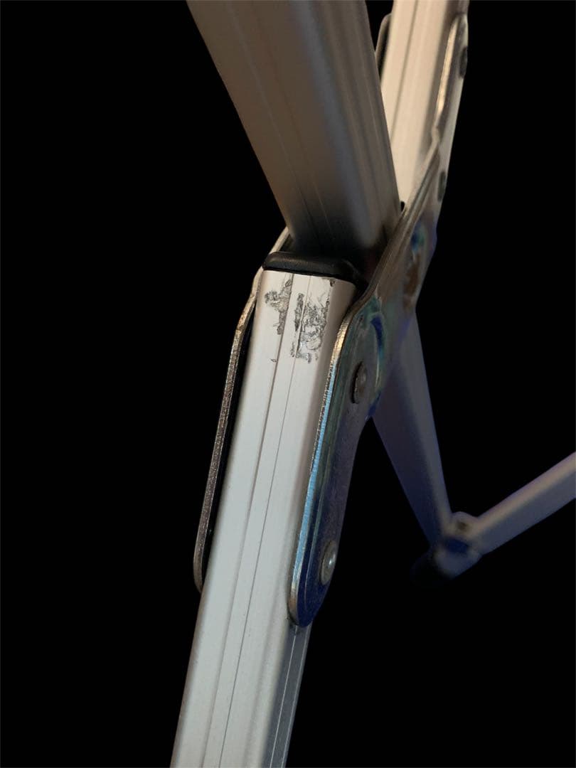 値下げ！アレキサンダーリーチャン カクタスアロハチェア