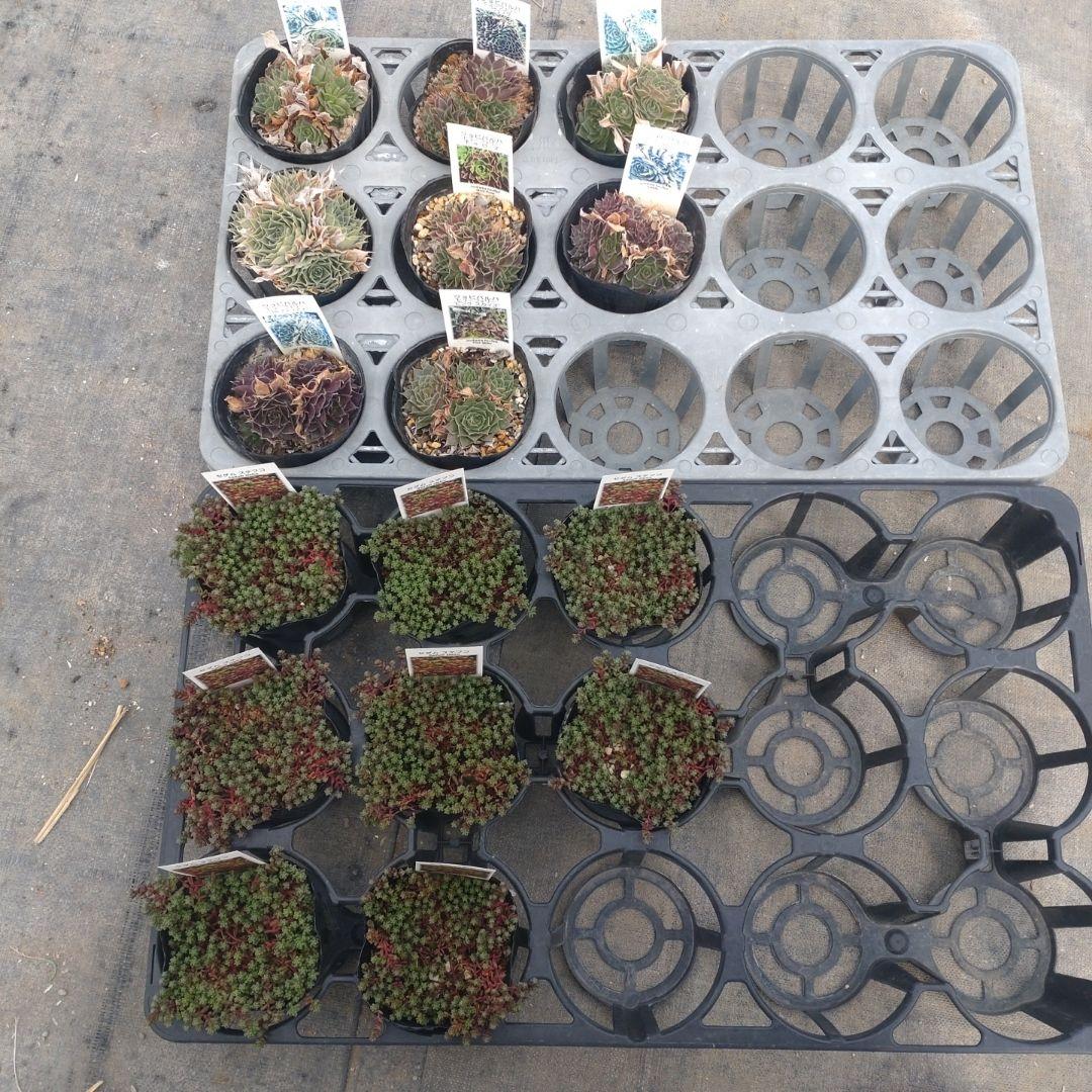 ガレージMさん専用