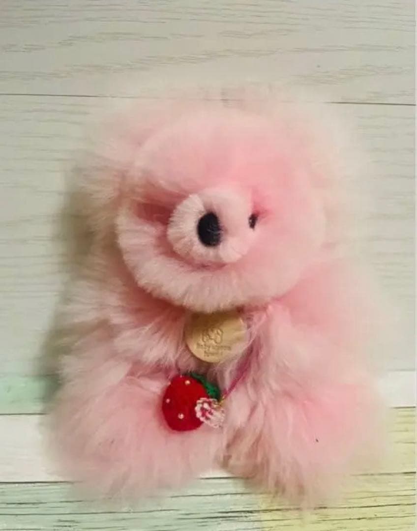 【ベビーアルパカ専門店fuwari】ぬいぐるみ（くま）【サーモンピンク】