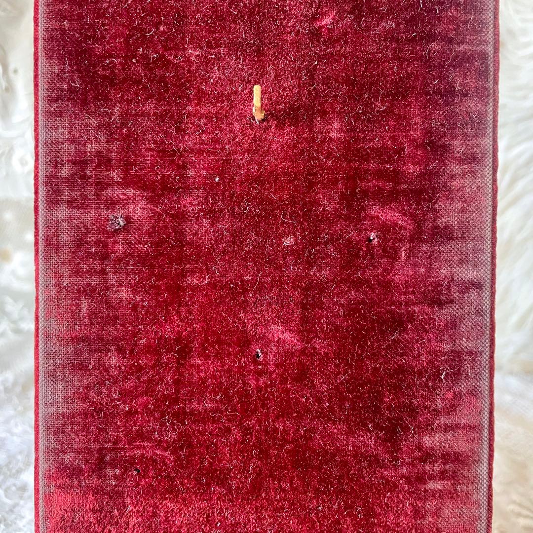 【レア】ジュエリーディスプレイスタンド　店舗什器フランスアンティークヴィンテージ