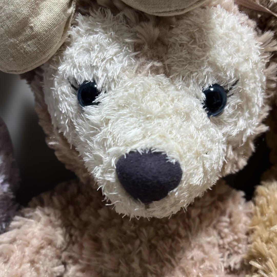 ダッフィー&フレンズ ぬいぐるみ Sサイズ　香港　ディズニーシー　正規品　美品