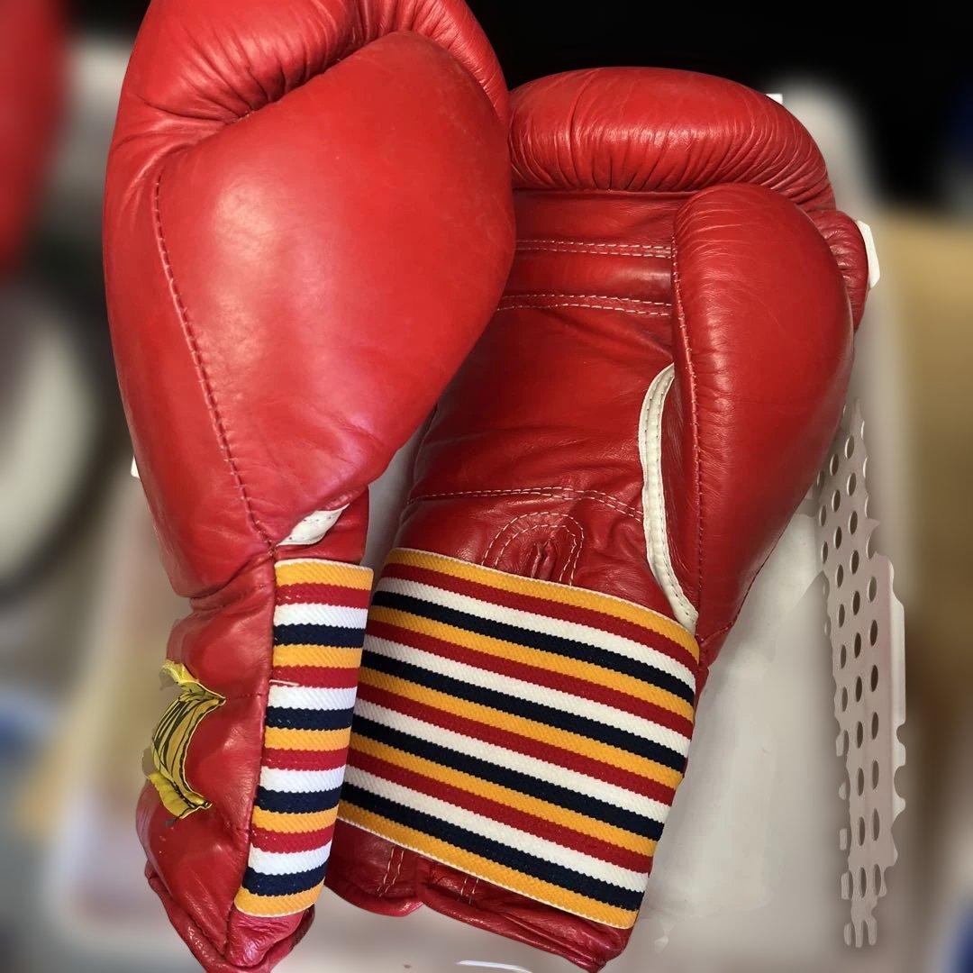 WINDY ボクシンググローブ 16oz レッド