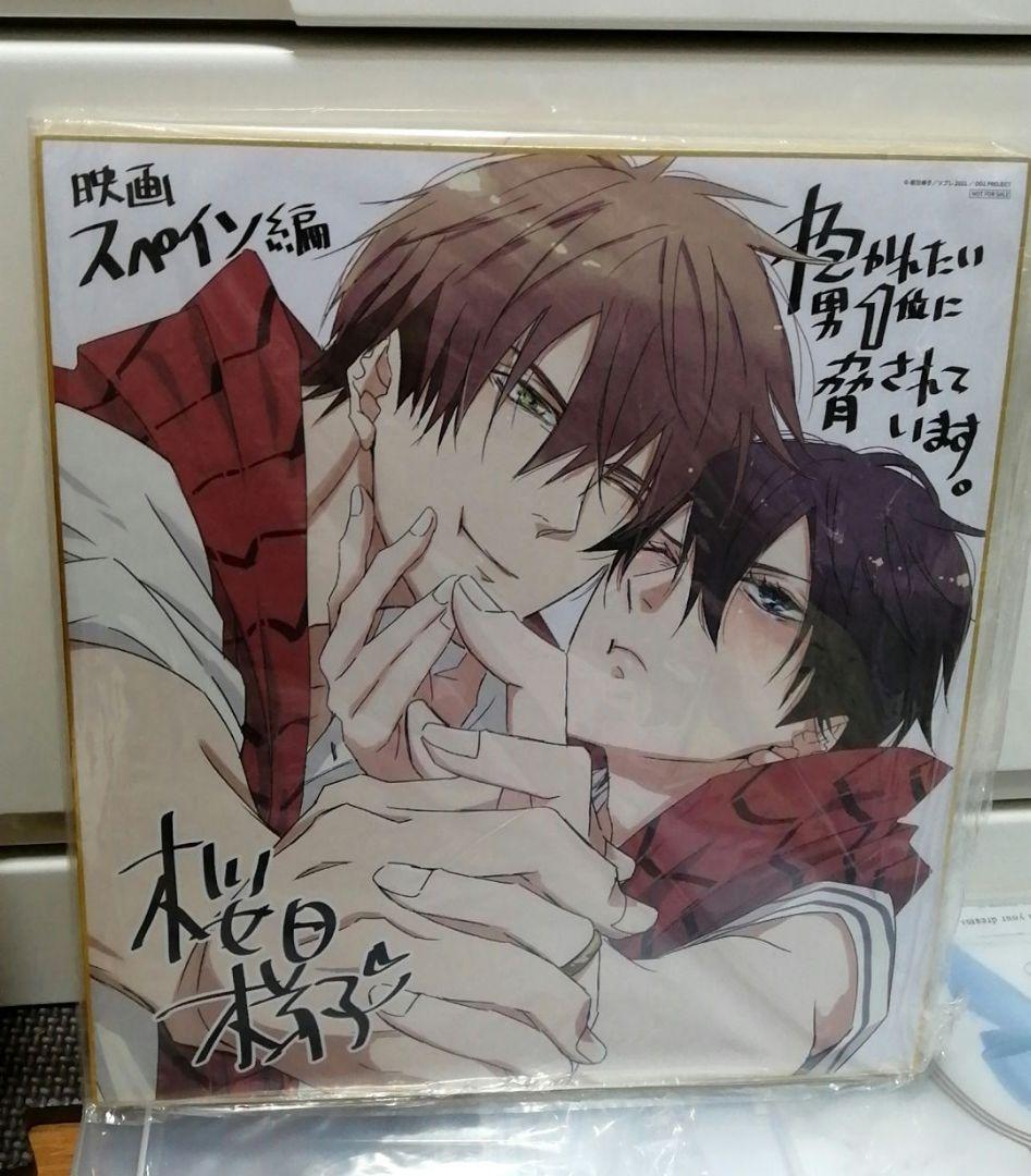 抱かれたい男一位に脅されています　だかいち　小冊子　ブックレット　リーフレット