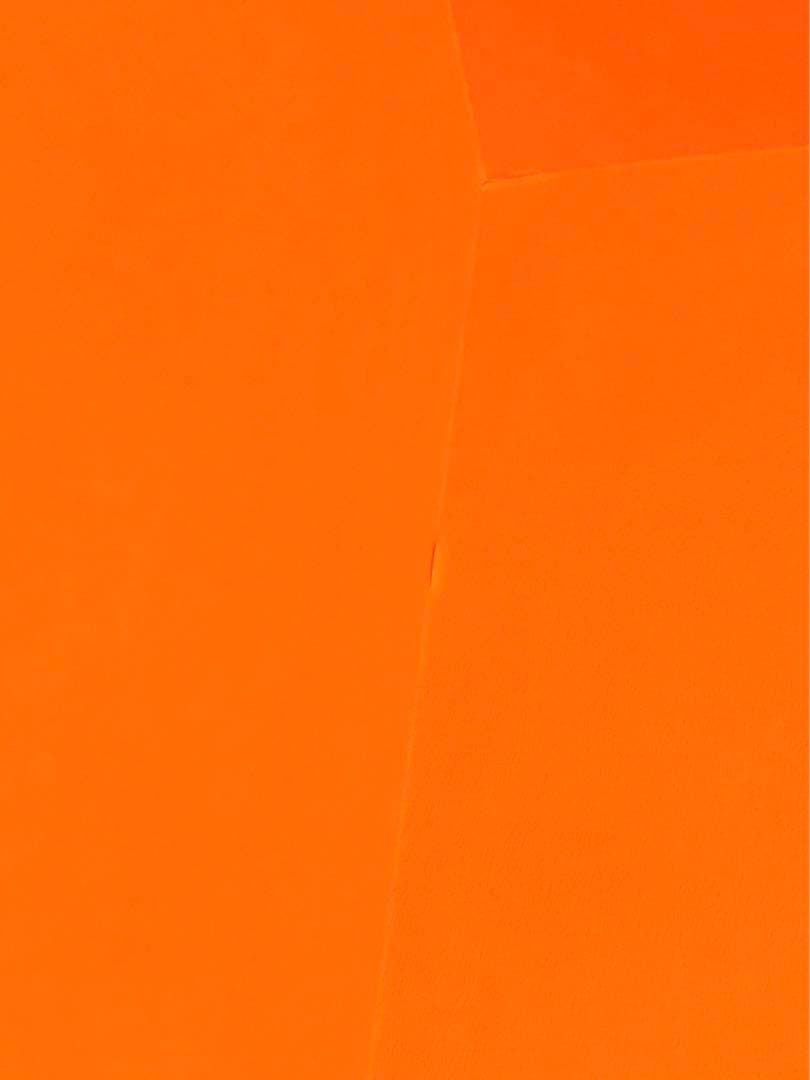 エルメス　シェーヌダンクル　特大ネックレスケース　希少品