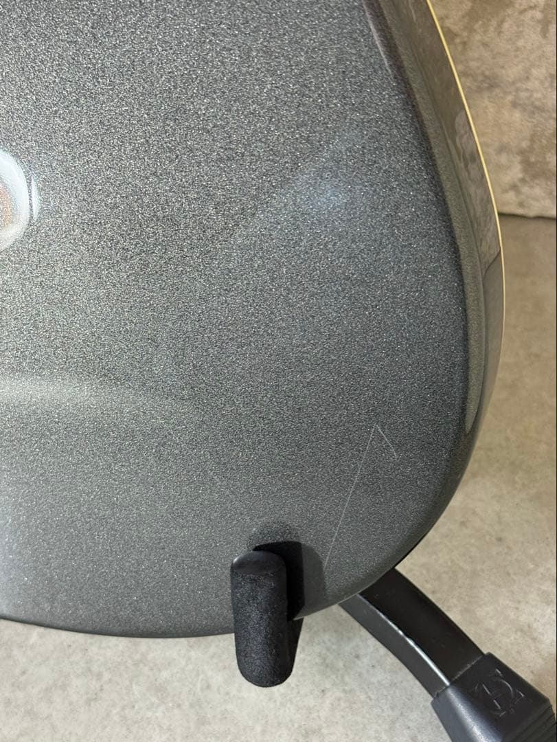 【希少】FERNANDES APG series 整備・清掃・弦交換済み