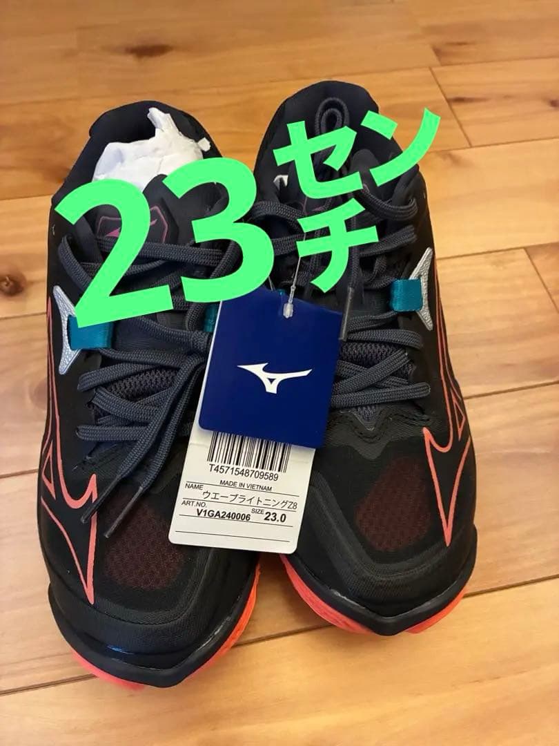ミズノ　バレーボールシューズ