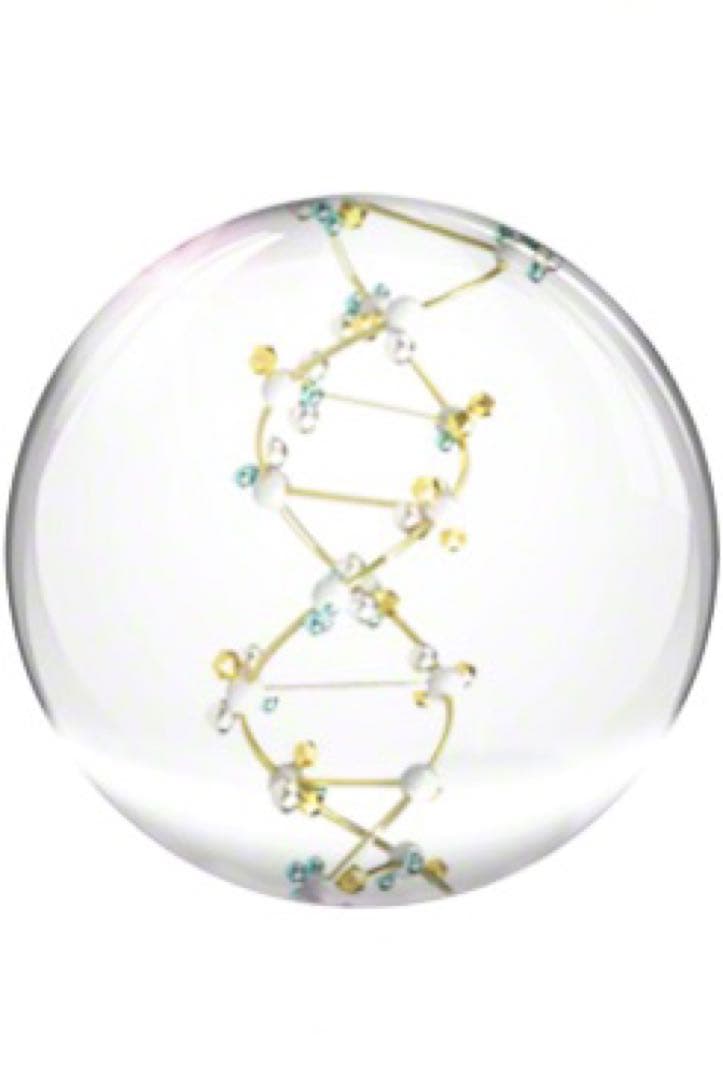 Valmont モイスチャーライジングウィズアクリーム（24時間保湿クリーム）