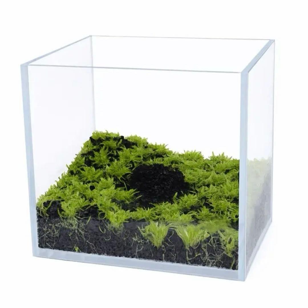 水槽丸ごと ウォーターローン ガラス水槽