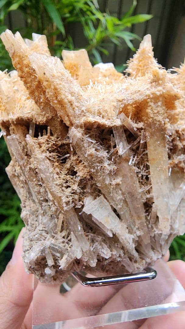 オーストラリア産の黄色いアラゴナイト