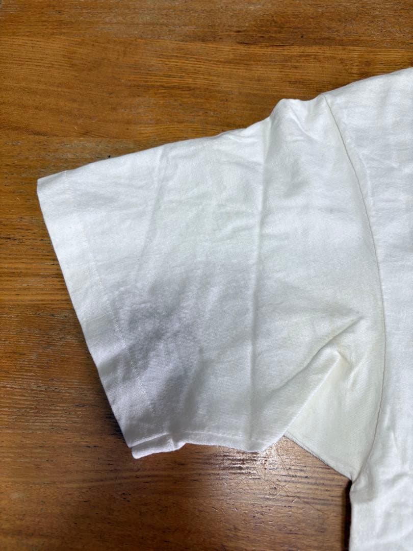 Soul asylum ソウルアサイラム　Tシャツ Lサイズ