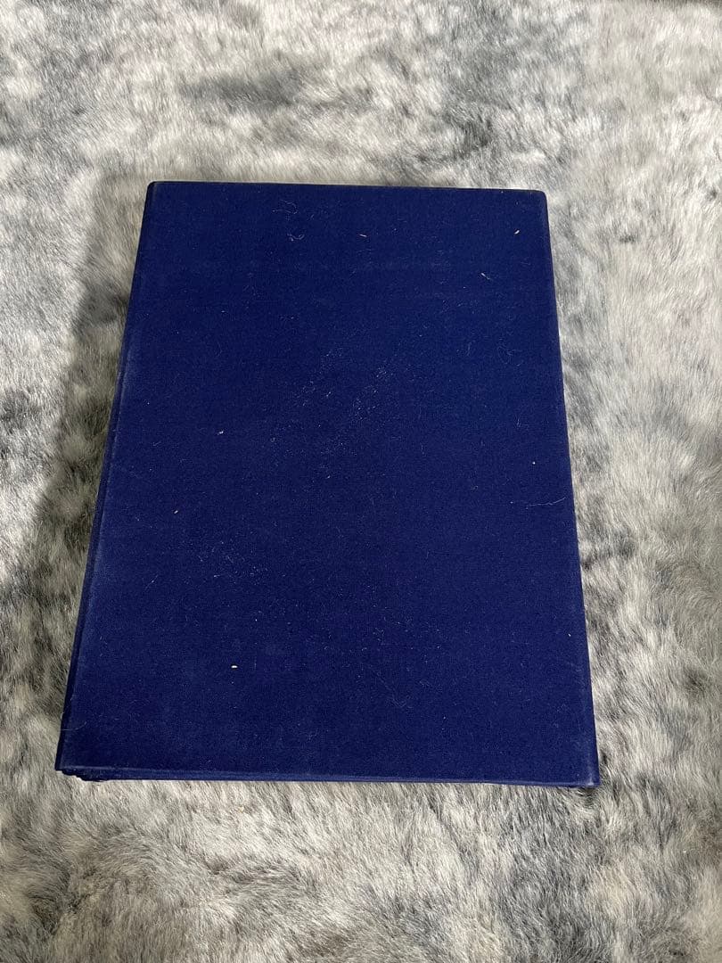 希少・珍品 唐墨 古墨 固形墨 乾隆年製 中国美術 10個セット 未使用品