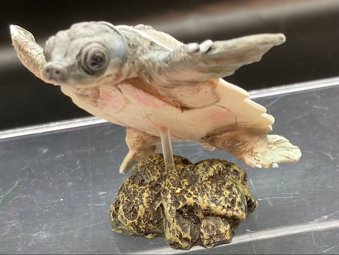 動物 生き物フィギュア ガレージキット 塗装済み完成品 19体セット