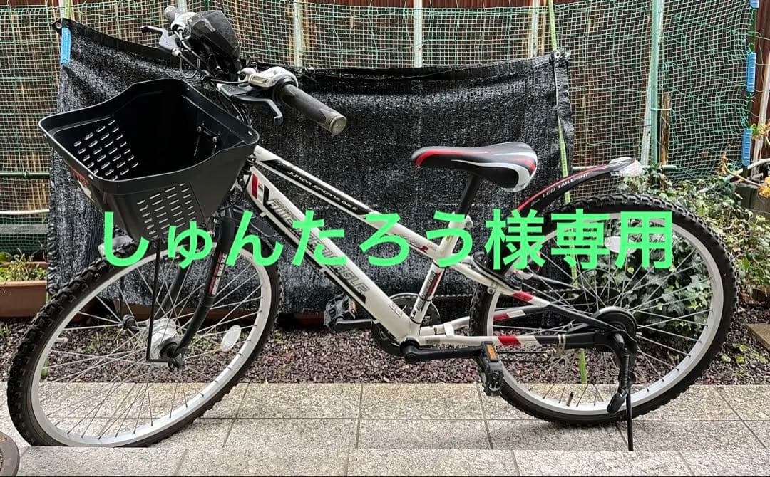 アメリカンイーグル　24インチ