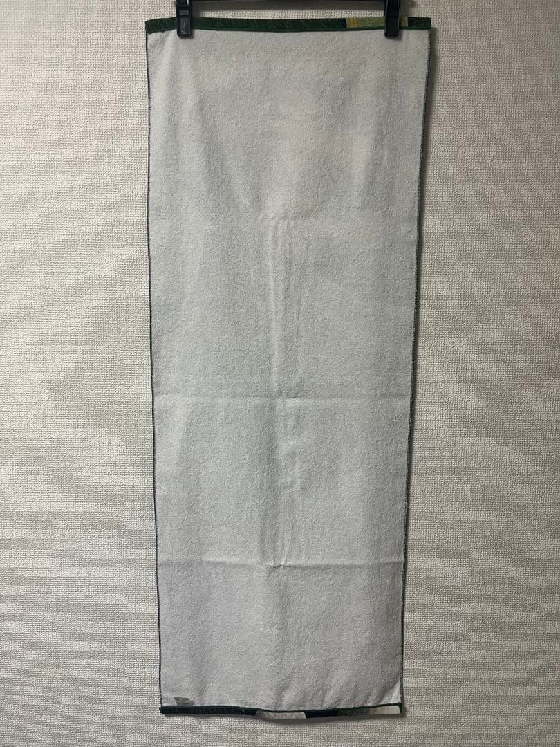 進撃の巨人 リヴァイ兵長 BIG タオル ロングコート アクアマリン