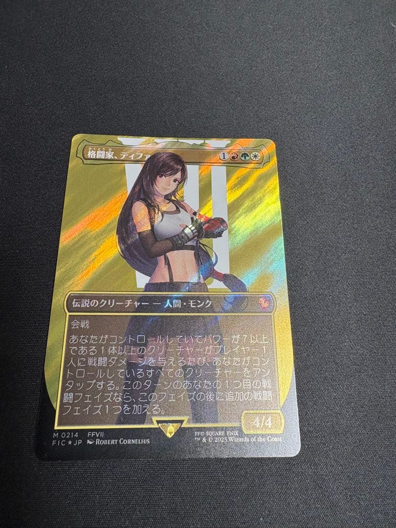 格闘家、ティファ