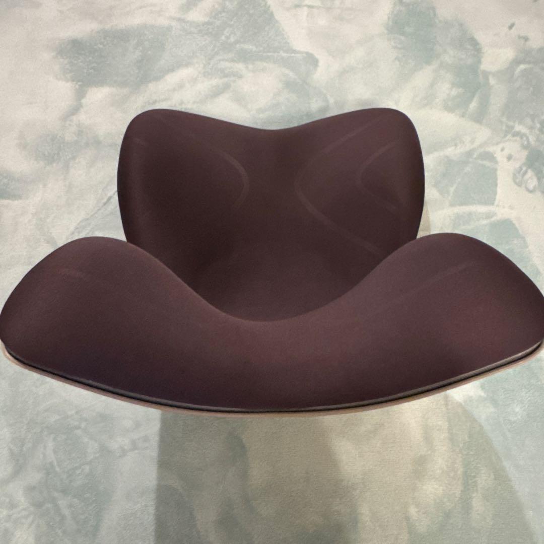 MTG スタイルプレミム　骨盤矯正 姿勢矯正 座椅子