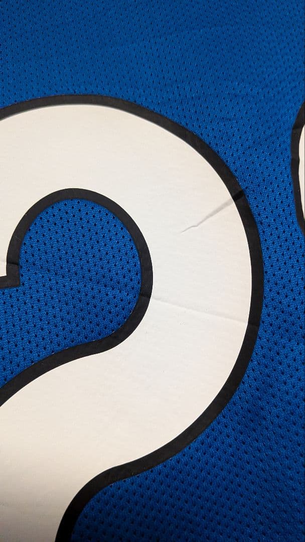 宇津木瑠美選手　サイン入りユニフォーム　ナイキ　背番号２０