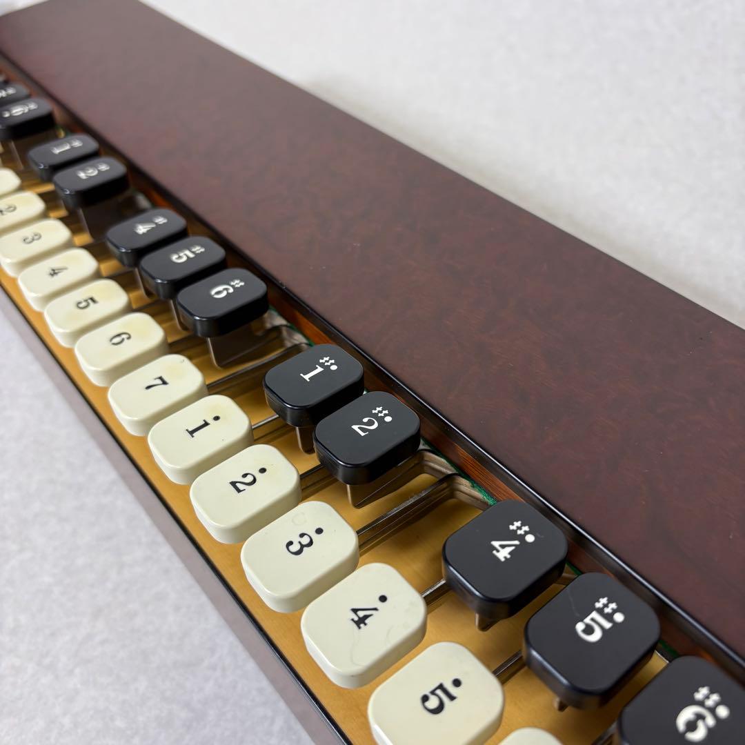 LYRISH LSS75 ライリスト 大正琴 ライリッシュ