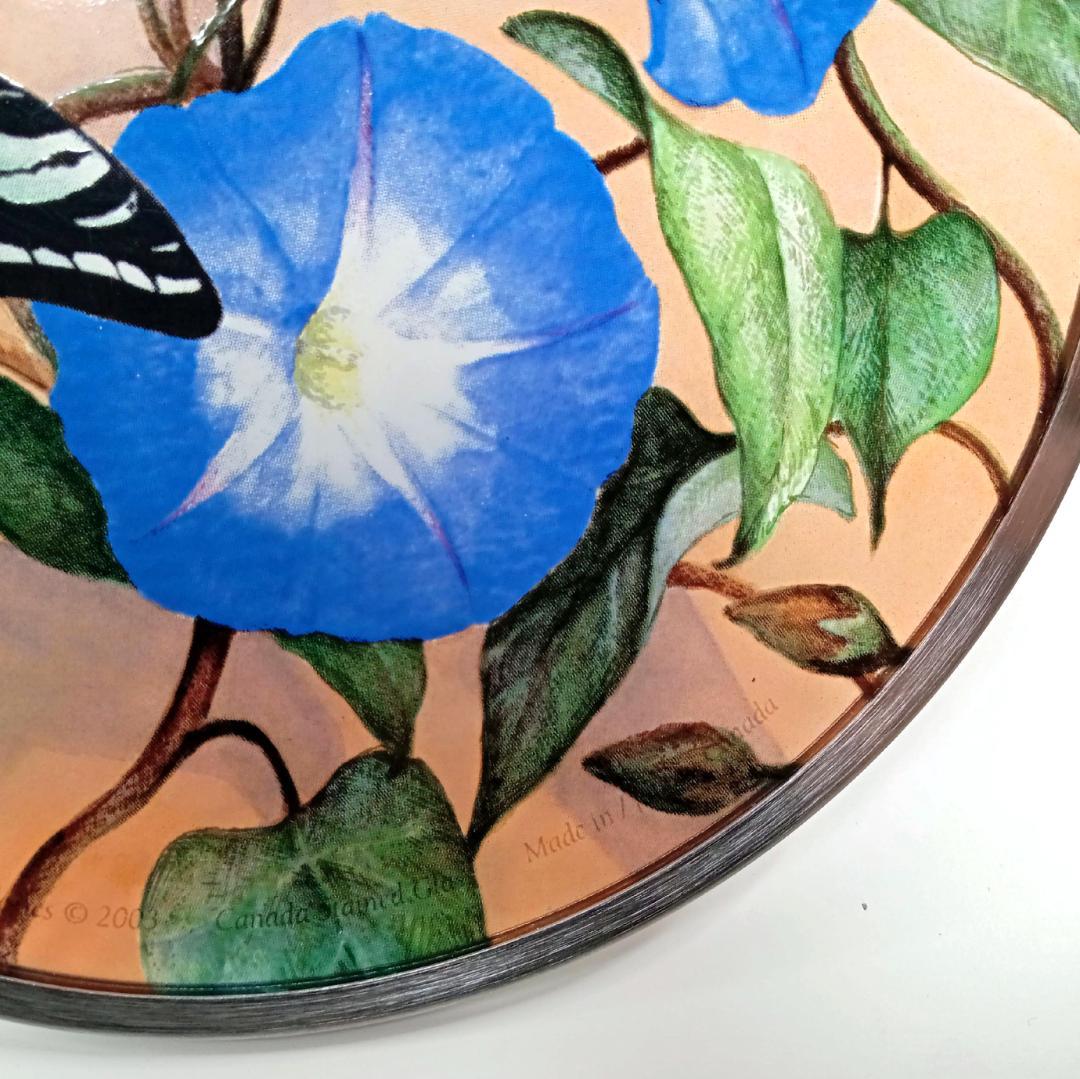 新品 夏・ゼブラアゲハ蝶と朝顔 カナダ・ステンドグラス社　ちょうちょ　あさがお