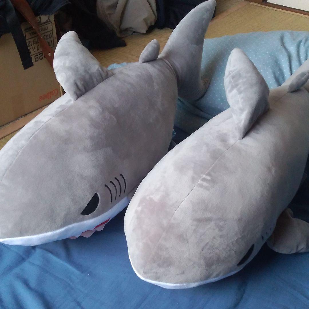 サメ(商品は1つのみ)