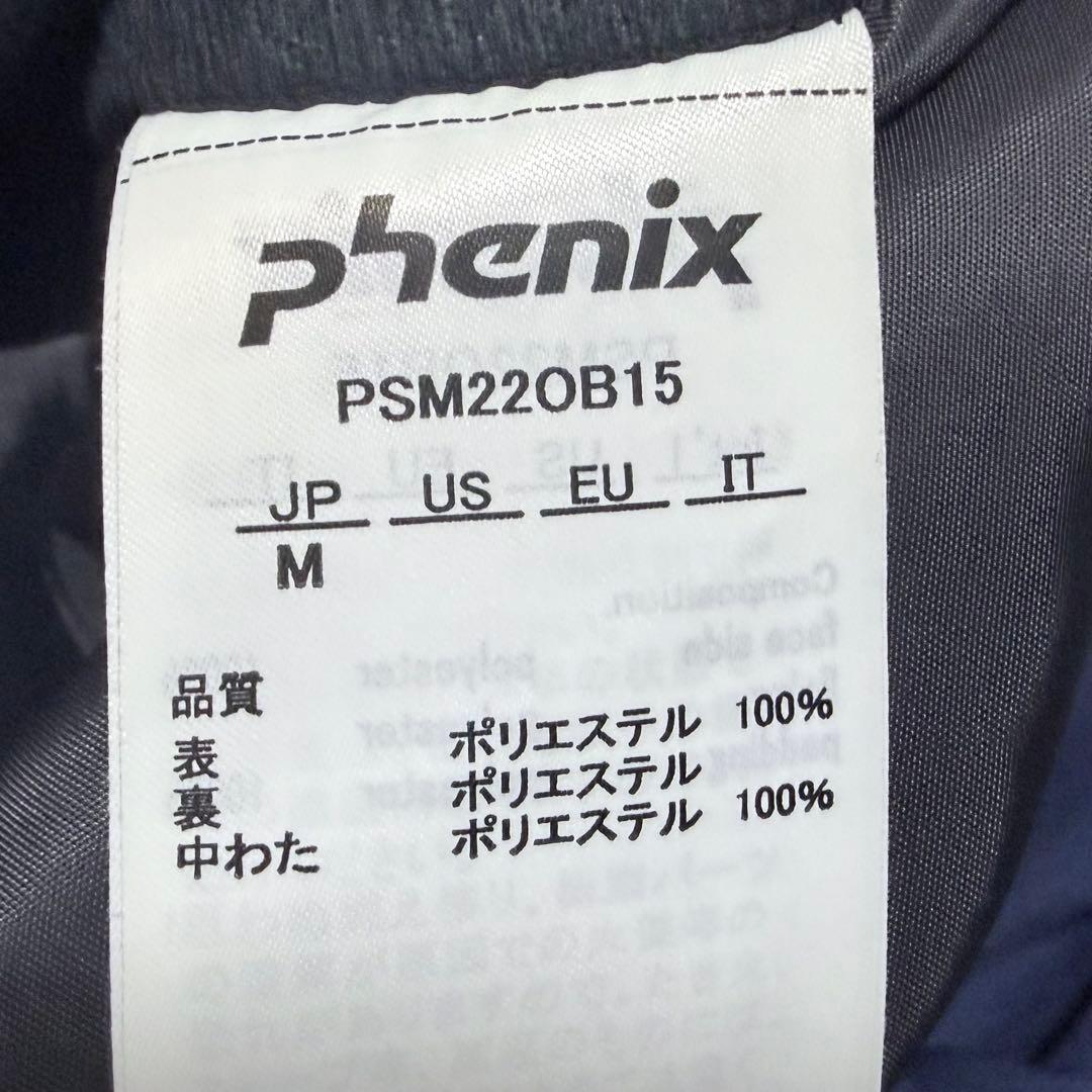 【美品】phenixブリザードパンツ JP スキーウェア パンツ（メンズ M）