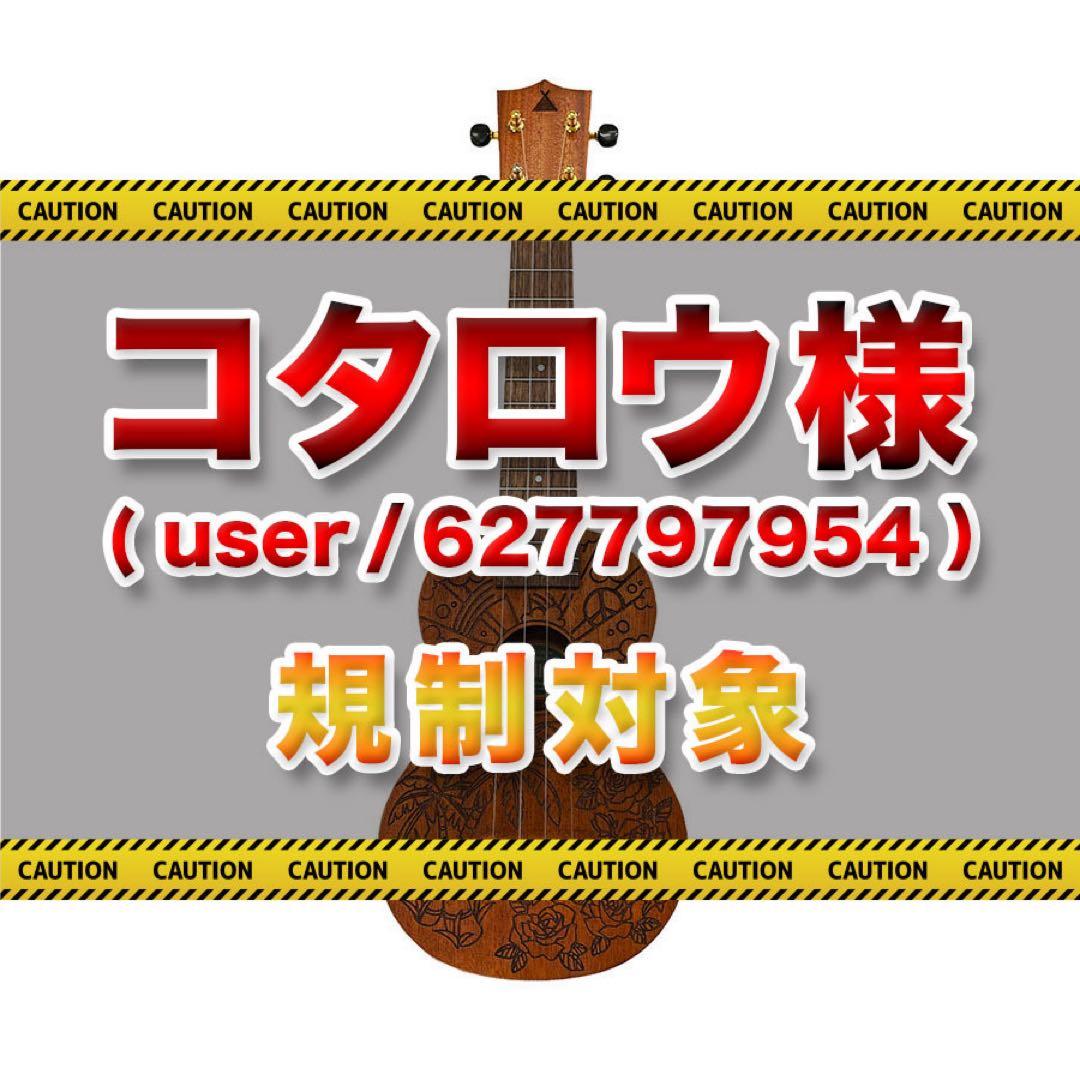 平井大 オリジナル ウクレレ Ukulele シグネチャーモデル visvim