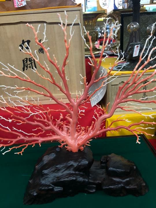珊瑚　原木　置物