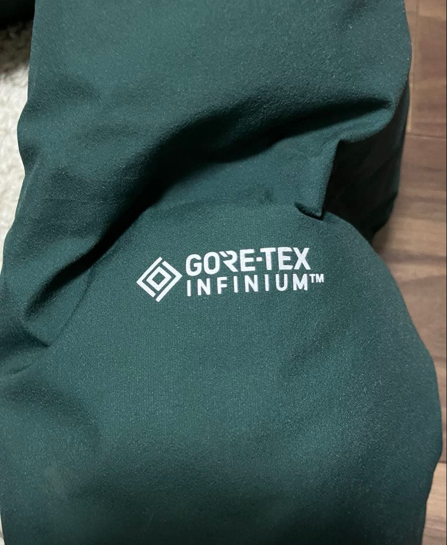 THE NORTH FACEノースフェイスのGORE-TEXダウンジャケット　M