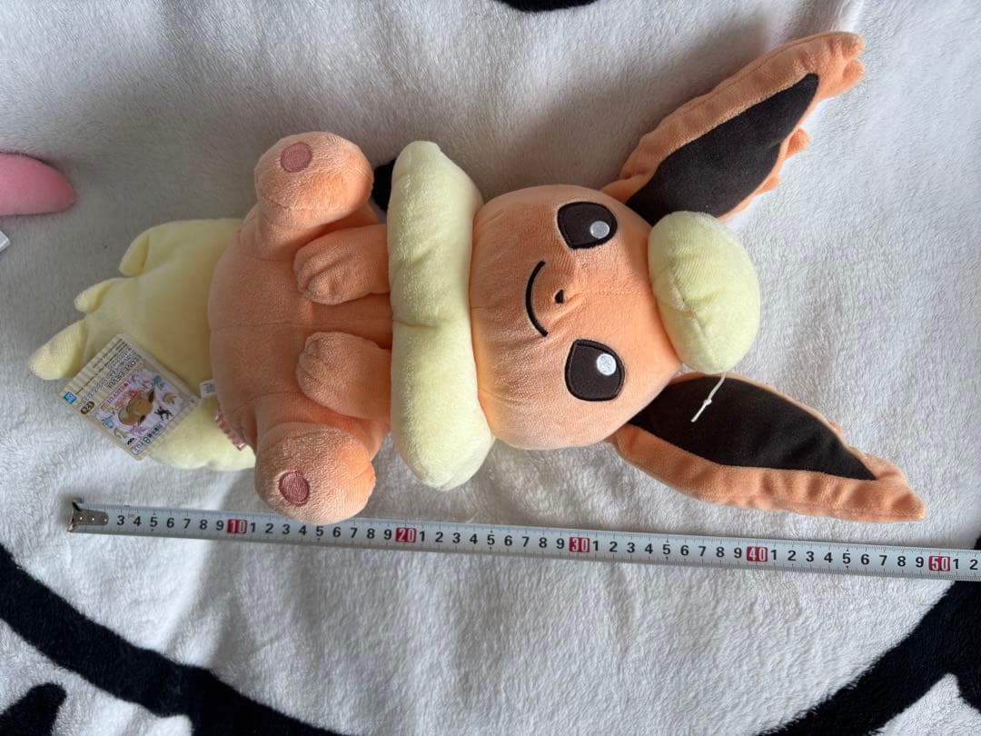 ポケモン ぬいぐるみセット