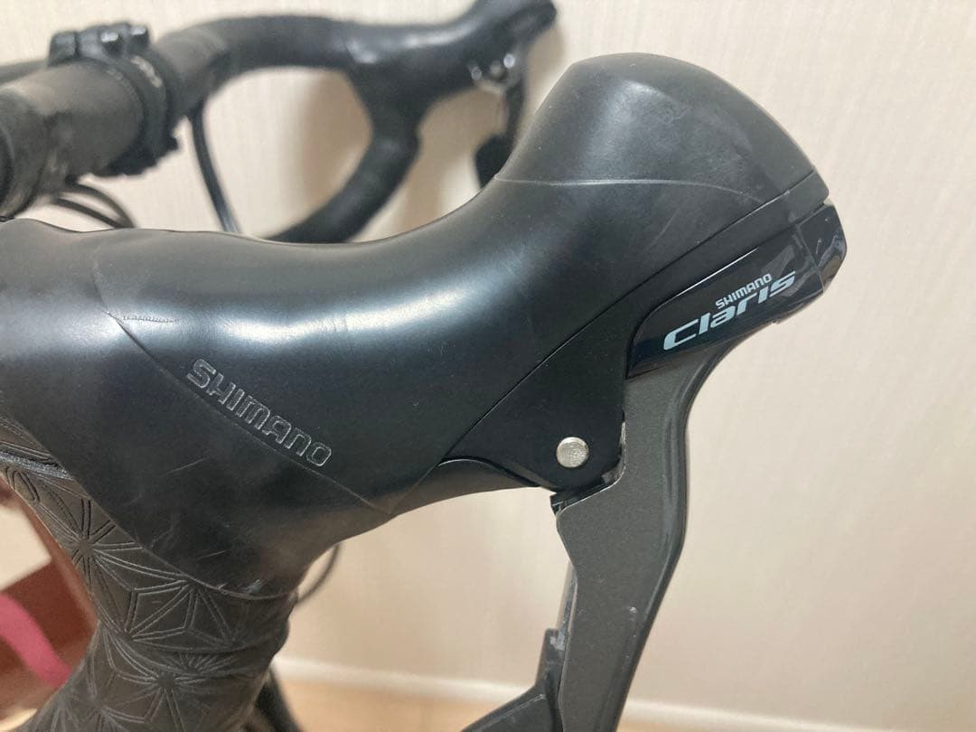 Tern Sage ミニベロ SHIMANO105ブレーキ　カーボンハンドル