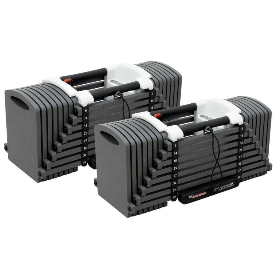 2825パワーブロック ダンベル 可変式 筋トレ 42kg 2個 24段階調節