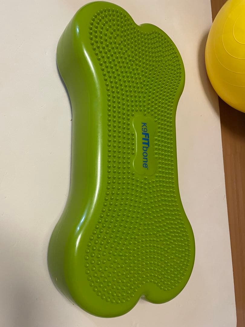K9 FITbone CanineGym® 犬用 バランスボール　トレーニング