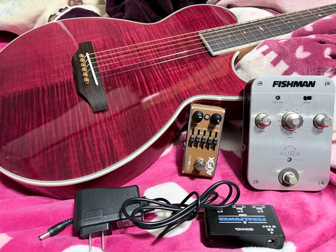 ARIA / APE-100 FISHMAN プリ等。個別販売可能