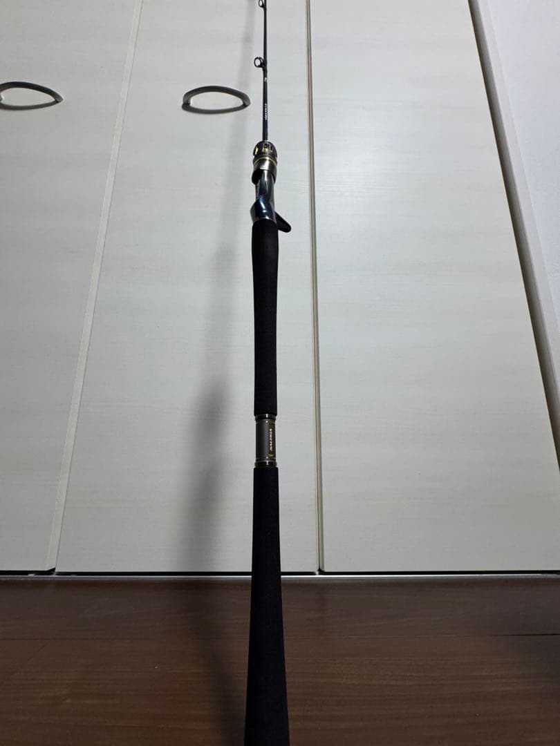 ダイワ ソルティガ LJ EX 61XXHB TG