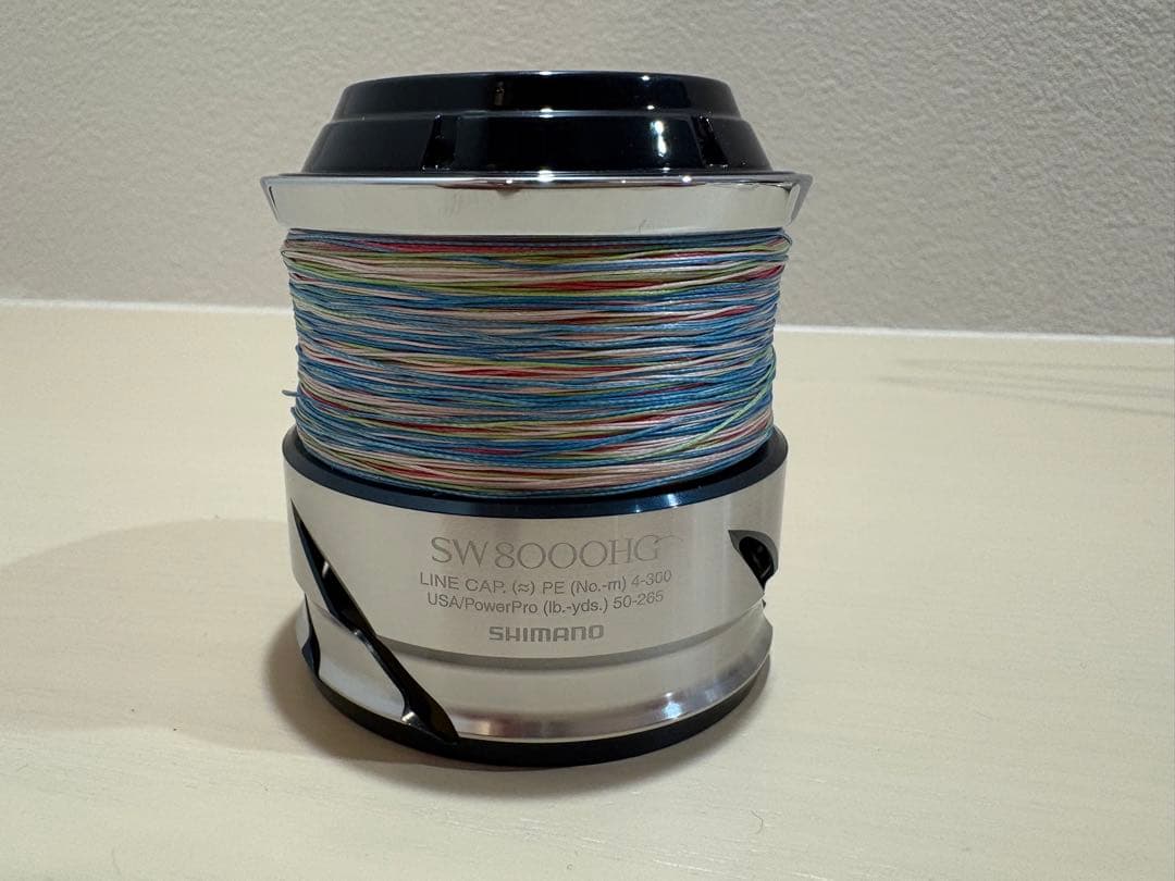 ツインパワー SW 8000HG 替えスプール リールガード付き